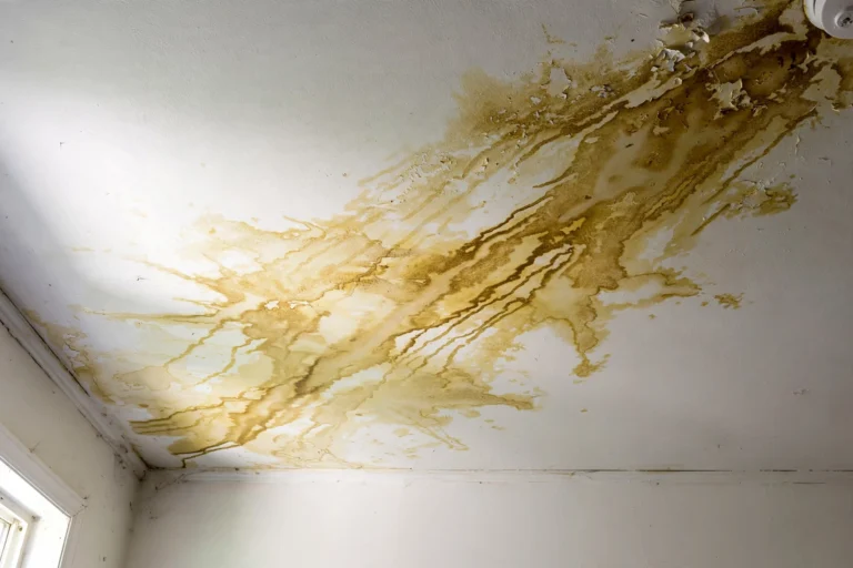 water stains on ceiling - Pro Plumbers California